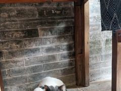 -老屋咖啡