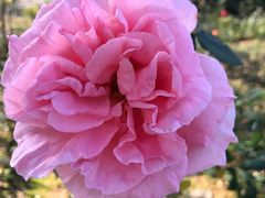 -韶关经律论国际酒店温泉