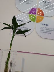 -MINX名珂斯·烫染形象设计