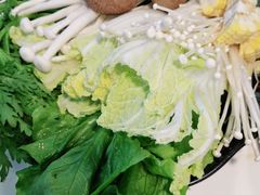 -陈记顺和牛肉火锅馆(天河北路店)