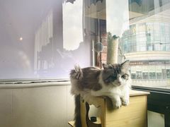 -月迷津渡(吾悦国际店)