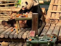-灵玲国际马戏城