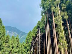 -太阳湾风景区