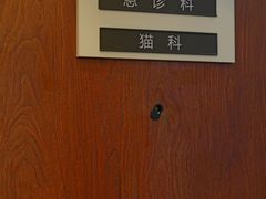 -美联众合动物医院·24h转诊中心