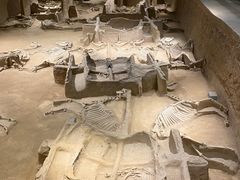 -洛阳周王城天子驾六博物馆