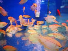 -大润发(王庄店)