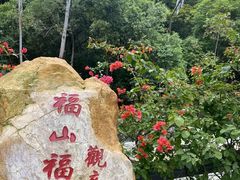 -东莞观音山旅游风景区