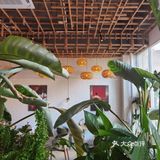 悠然下午茶光景