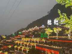 -枇杷园食为鲜火锅(南山店)