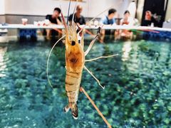 -嘻虾·钓虾工场(东莞总店)