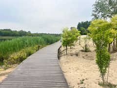 -东郊湿地公园