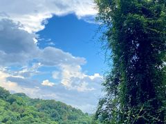 -阳台山森林公园