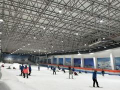-绍兴启迪乔波冰雪世界