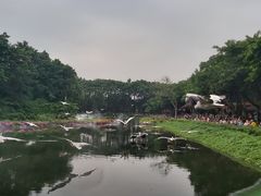 -广州长隆飞鸟乐园