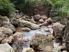 -四明山国家森林公园