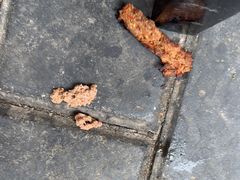 -清真学习巷串串