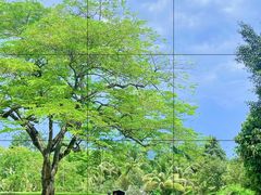 -曼听御花园