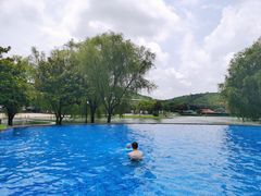 -上海佘山世茂艾美酒店