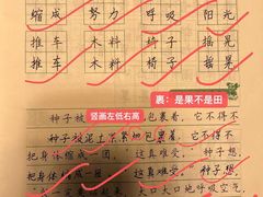 -上海市徐汇区第一中心小学