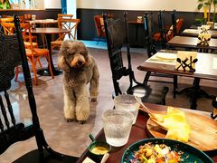 -沏点Trattoria意大利餐厅(新街口店)