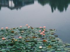 -白鹭湾湿地公园