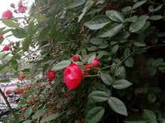 -陈熹公民族美食文化餐厅(中华广场店)