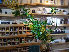 -今日陶艺(富力广场店)