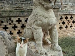 -西安大兴善寺