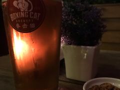-Boxing Cat Brewery拳击猫精酿啤酒馆(永福店)