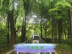 -尚贤河湿地