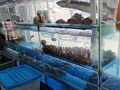 -海月湾海景餐厅( 嵊泗本地老字号店)