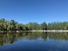 -阿尔丁植物园