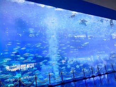 -成都浩海立方海洋公园