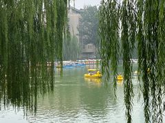 -团结湖公园