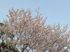 -大宁公园