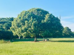 -艾溪湖湿地公园