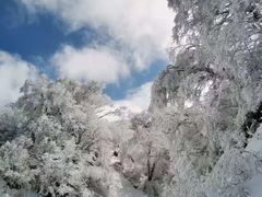 -太子岭滑雪场