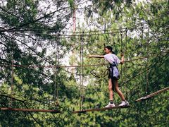 -梦幻奥陶纪景区