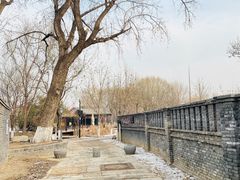 -春风习习