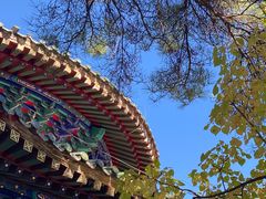 -潭柘寺景区