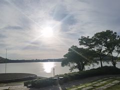 -上海月湖雕塑公园