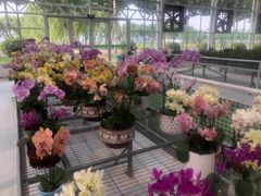 -兰陵国家农业公园