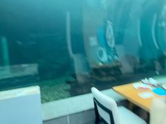 -海棠湾洲际-涛·海底餐厅·美人鱼·自助餐·海底隧道