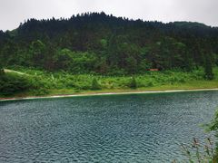 -武陵山森林公园