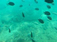 -亚龙湾海底世界
