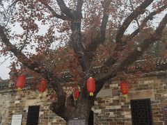 -李先念故居纪念园