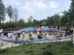 -眉山湿地公园(东坡区)