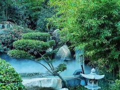 -西安国际创新人才交流中心•药浴温泉