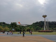 -飞凤山奥体公园