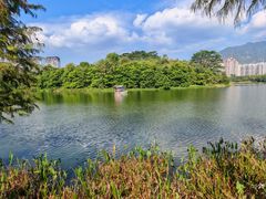 -飞来湖湿地公园